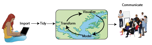 The data analysis model